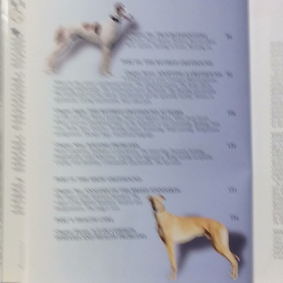 The Ultimate Greyhound Edited by Mark Sullivan. BUY 1 GET 1 FREE. - Picture 10 of 13